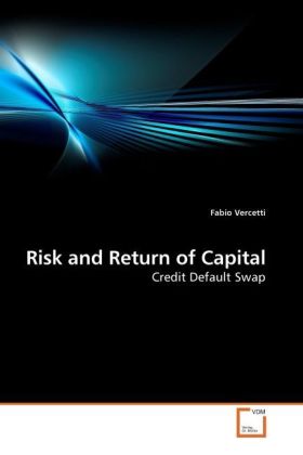 Risk and Return of Capital als Buch von Fabio Vercetti - VDM Verlag