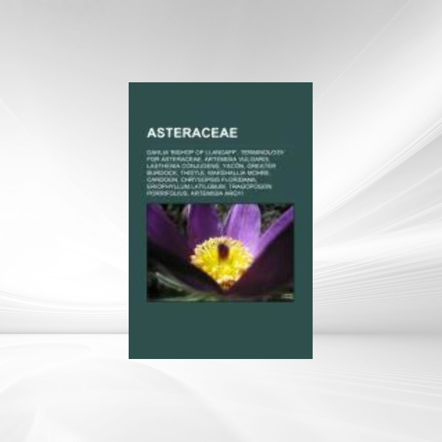 Asteraceae als Taschenbuch von - Books LLC, Reference Series