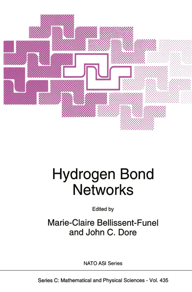 Hydrogen Bond Networks als Buch von - Springer Netherlands