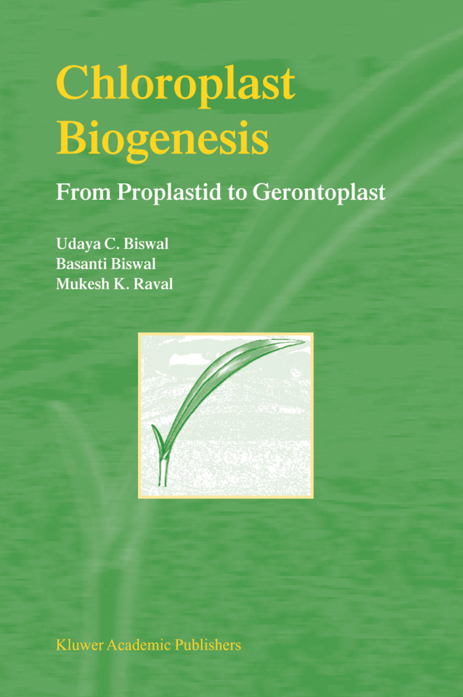 Chloroplast Biogenesis als Buch von Udaya C. Biswal, M. K. Raval - Springer