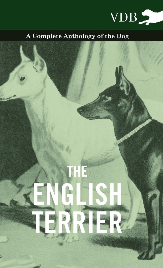 The English Terrier - A Complete Anthology of the Dog als Buch von Various - Vintage Dog Books