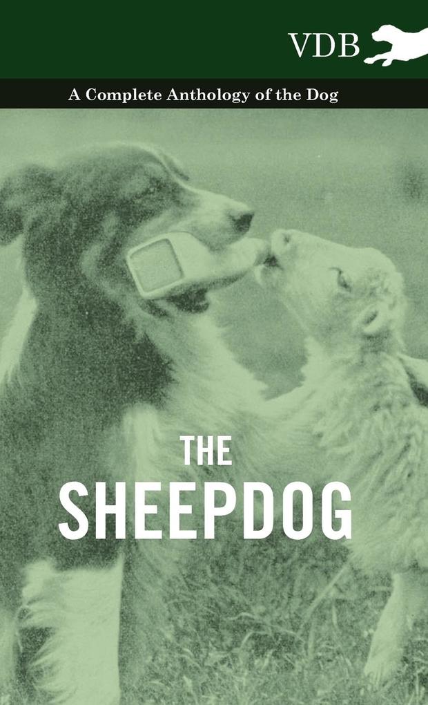 The Sheepdog - A Complete Anthology of the Breeds als Buch von Various - Vintage Dog Books