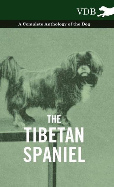 The Tibetan Spaniel - A Complete Anthology of the Dog als Buch von Various - Vintage Dog Books