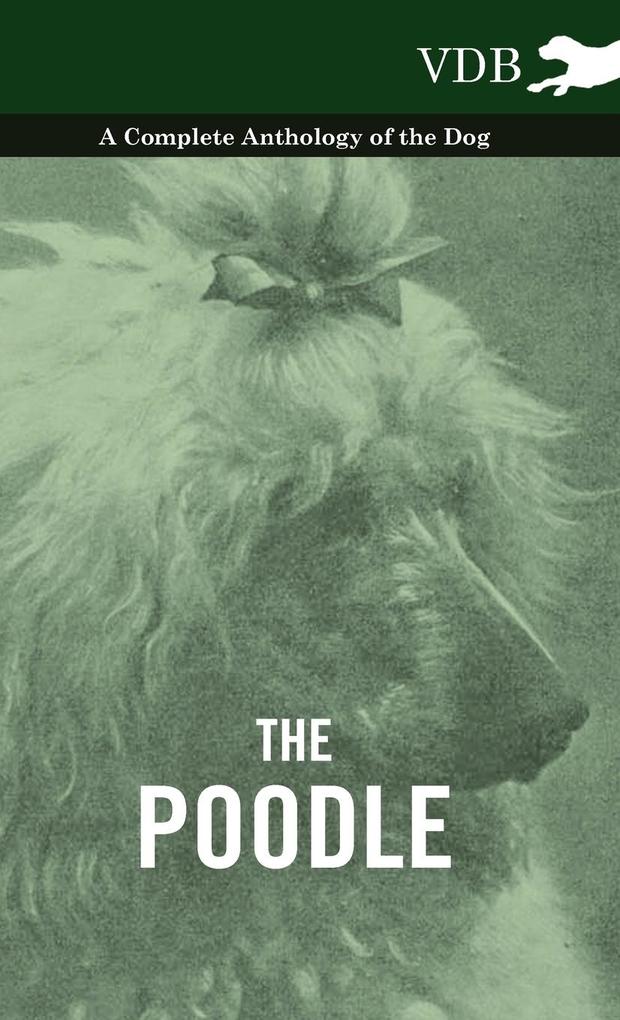 The Poodle - A Complete Anthology of the Dog als Buch von Various - Vintage Dog Books