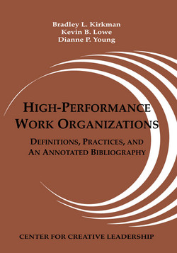 High-Performance Work Organizations als eBook von Bradley L. Kirkman, Kevin B. Lowe, Dianne P. Young - Center for Creative Leadership