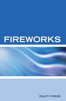Adobe Fireworks Web Design Interview Questions als eBook von Terry Sanchez-Clark - Equity Press