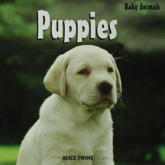 Puppies/Cachorros als eBook von Alice Twine - Rosen Publishing
