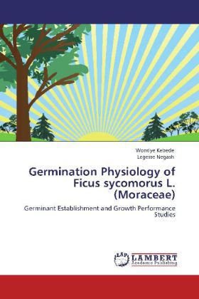 Germination Physiology of Ficus sycomorus L. (Moraceae) als Buch von Wondye Kebede, Legesse Negash - LAP Lambert Academic Publishing