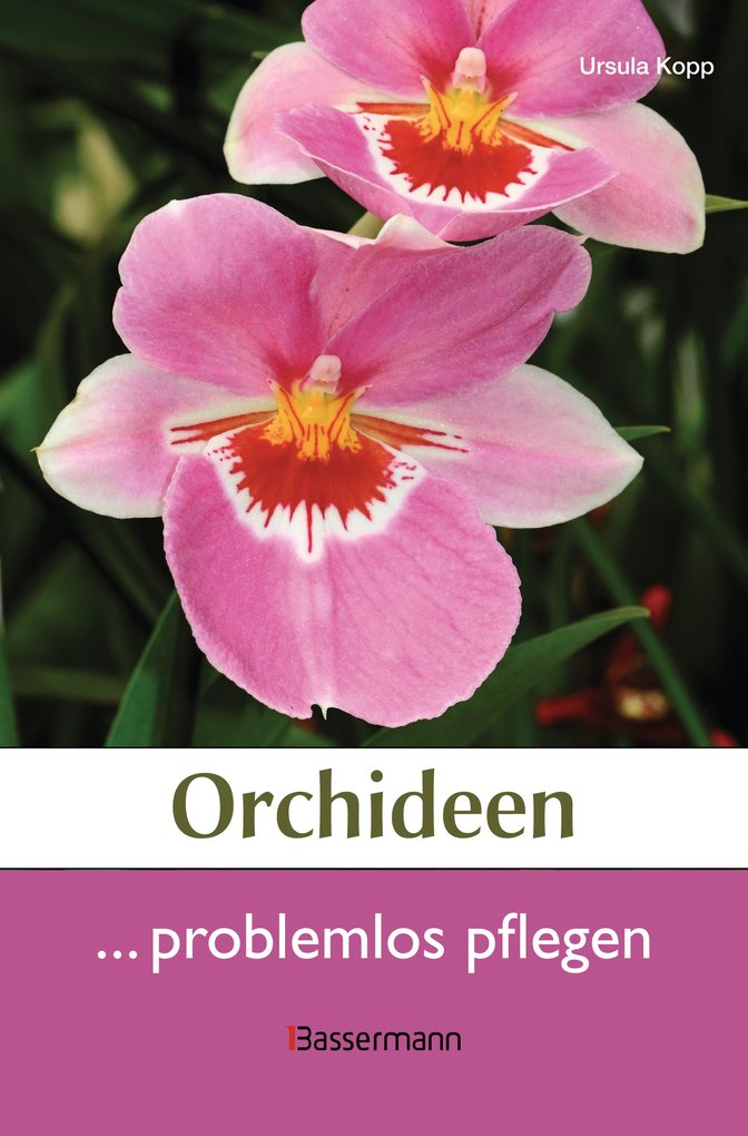 Orchideen problemlos pflegen als eBook von Ursula Kopp - Bassermann Verlag
