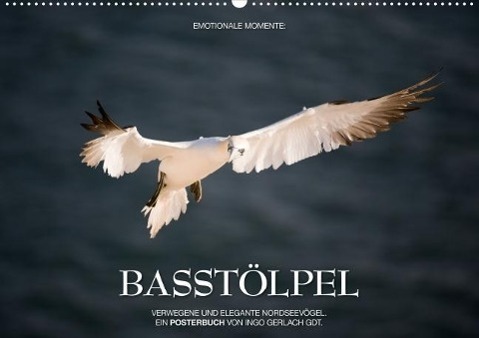 Emotionale Momente: Basstölpel (Posterbuch DIN A3 quer) als Buch von Ingo Gerlach GDT - Calvendo Verlag