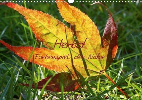 Herbst - Farbenspiel der Natur (Posterbuch DIN A4 quer) als Buch von Lilo Kapp - Calvendo Verlag