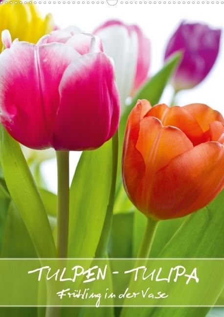 Tulpen - Tulipa (Posterbuch DIN A2 hoch) als Buch von Gerd Evermann Photography - Calvendo Verlag