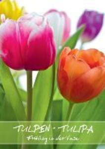 Tulpen - Tulipa (Posterbuch DIN A4 hoch) als Buch von Gerd Evermann Photography - Calvendo Verlag