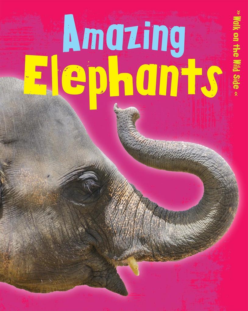Amazing Elephants als eBook von Charlotte Guillain - Raintree UK
