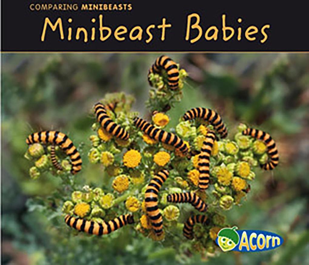 Minibeast Babies als eBook von Charlotte Guillain - Raintree UK
