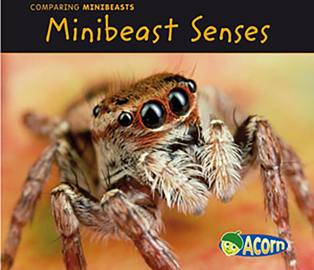 Minibeast Senses als eBook von Charlotte Guillain - Raintree UK