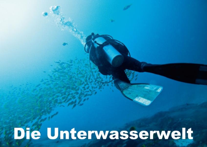 Die Unterwasserwelt (Posterbuch DIN A2 quer) als Buch von Dieter Gödecke - Calvendo Verlag