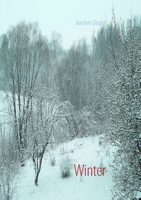Winter als Buch von Joachim Ziegler - Books on Demand