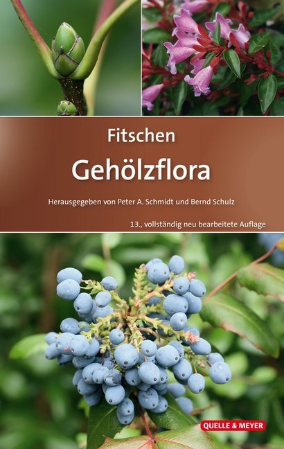 Fitschen - Gehölzflora: Ein Buch zum Bestimmen der in Mitteleuropa wild wachsenden und angepflanzten Bäume und Sträucher. Mit Knospen- und Früchteschlüssel (Quelle & Meyer Bestimmungsbücher)