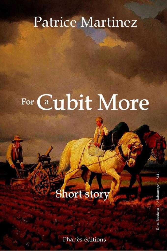 FOR A CUBIT MORE als eBook von Patrice Martinez, Phanès - Babelcube Inc.