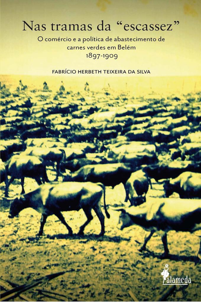 Nas tramas da escassez als eBook von Fabrício Herbeth Teixeira da Silva - Alameda Casa Editorial