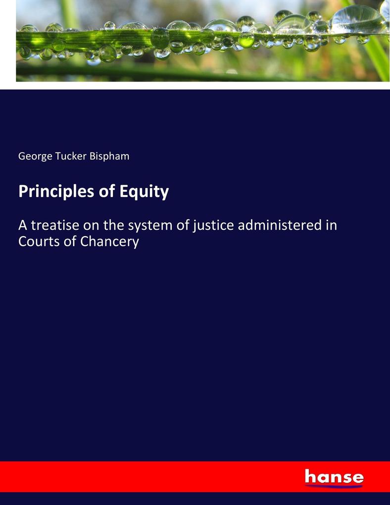 Principles of Equity als Buch von George Tucker Bispham - Hansebooks