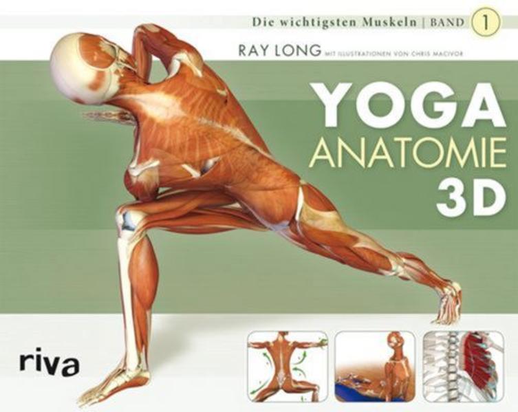 Yoga-Anatomie 3D: Band 1: Die wichtigsten Muskeln - Bild 5
