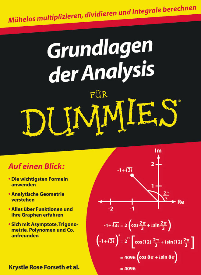Wiley-Vch Gmbh Grundlagen Der Analysis Für Dummies - Bild 5