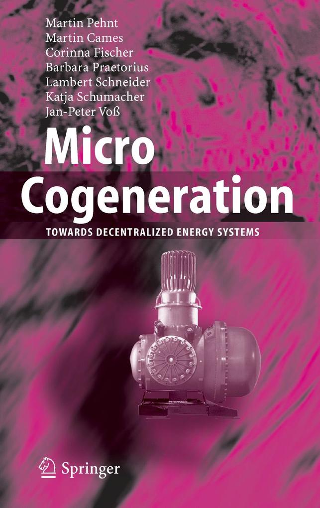 Micro Cogeneration - Barbara Praetorius/ Corinna Fischer/ Jan-Peter Voß/ Katja Schumacher/ Lambert Schneider