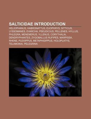 Salticidae Introduction als Taschenbuch von - Books LLC, Reference Series