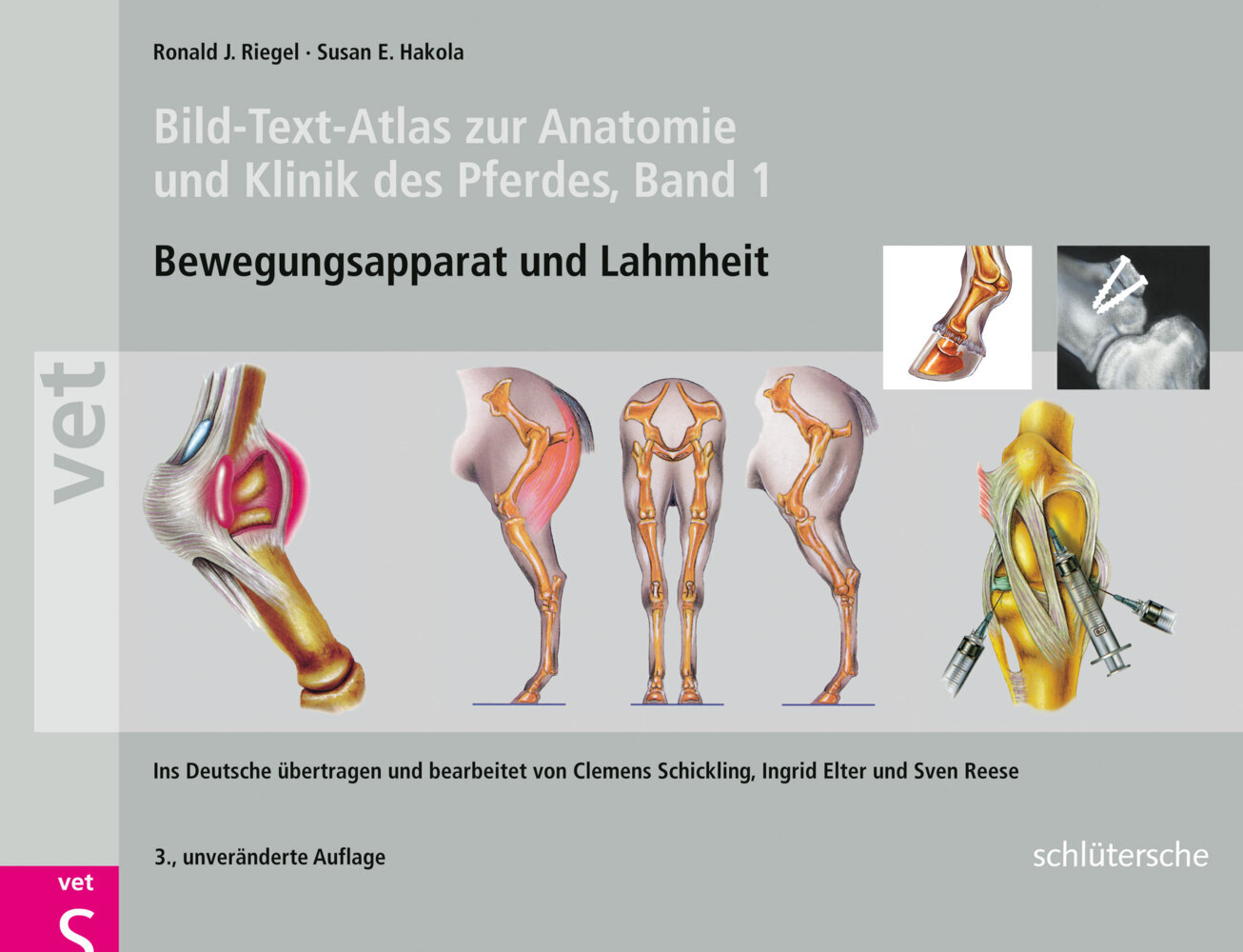 Bild-Text-Atlas zur Anatomie und Klinik des Pferdes - Ronald J. Riegel/ Susan E. Hakola