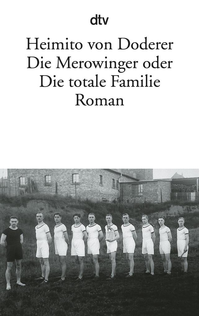 Die Merowinger oder Die totale Familie Heimito von Doderer - Bild 5