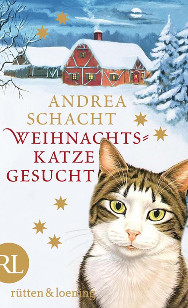 Weihnachtskatze gesucht - Andrea Schacht