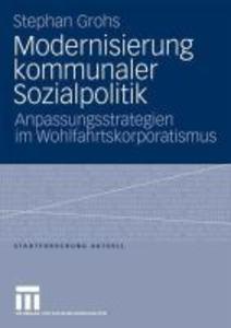 Modernisierung kommunaler Sozialpolitik - Stephan Grohs