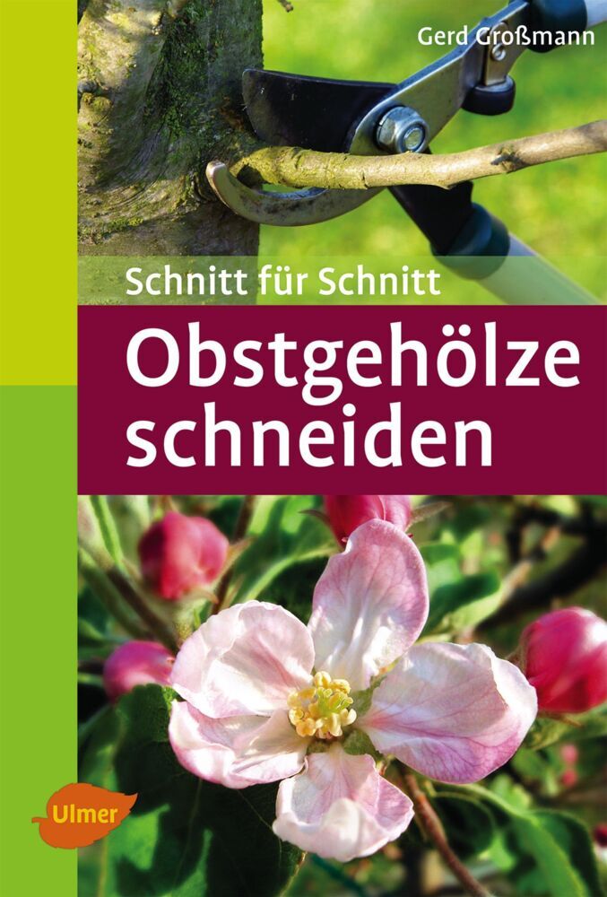 Obstgehölze schneiden: Schnitt für Schnitt (Taschenatlanten) - Bild 6