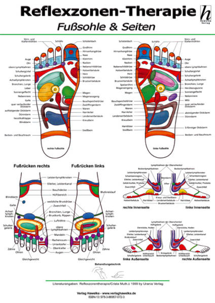 Hawelka Verlag Reflexzonen-Therapie Poster - Fußsohle & Seiten Din A2 - Image 3