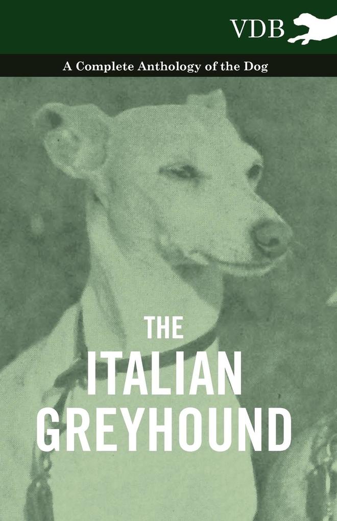 The Italian Greyhound - A Complete Anthology of the Dog als Taschenbuch von Various - Vintage Dog Books
