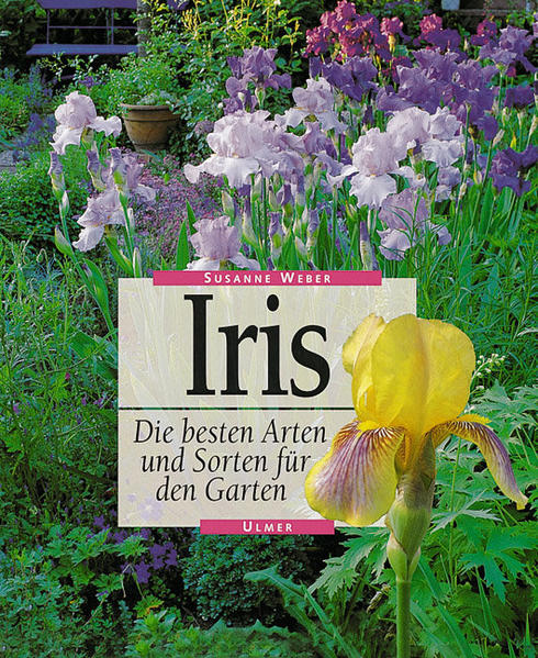 Iris - Susanne Weber