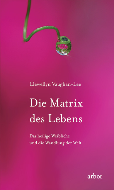 Llewellyn Vaughan-Lee: Die Matrix des Lebens - Bild 5