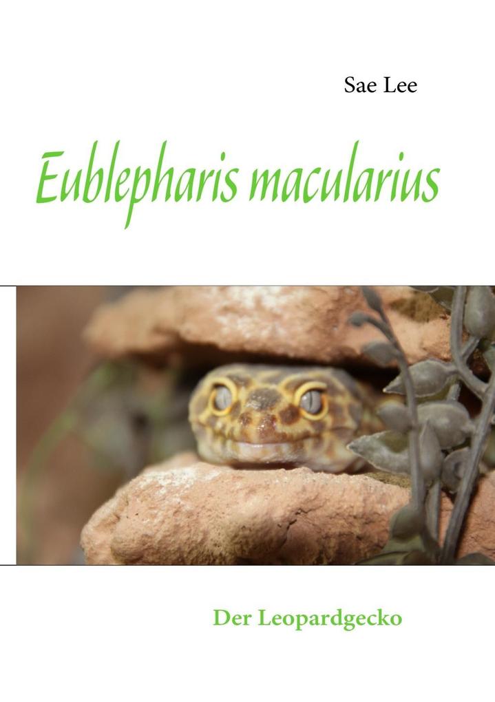 Eublepharis macularius als eBook von Sae Lee - Books on Demand
