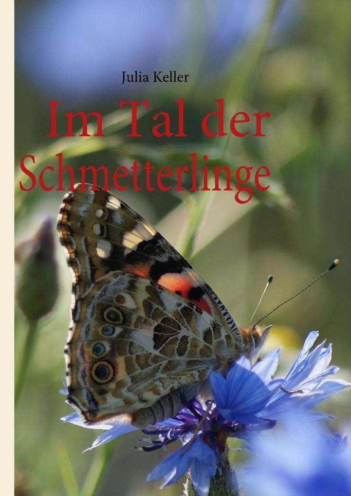 Im Tal der Schmetterlinge - Julia Keller