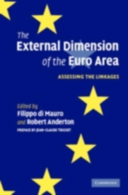 External Dimension of the Euro Area