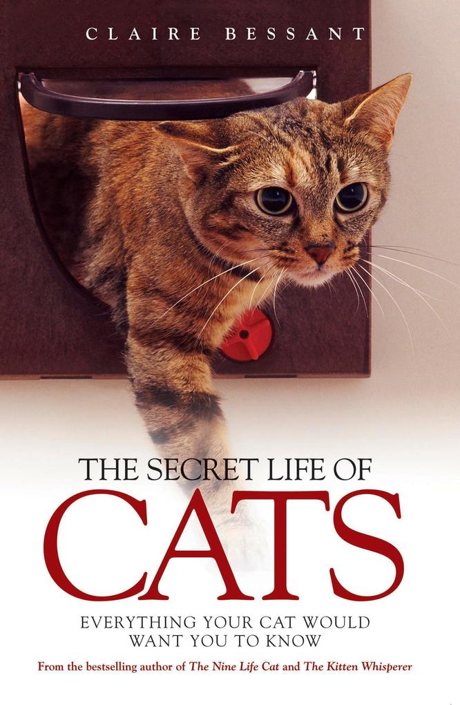 The Secret Life of Cats - Claire Bessant