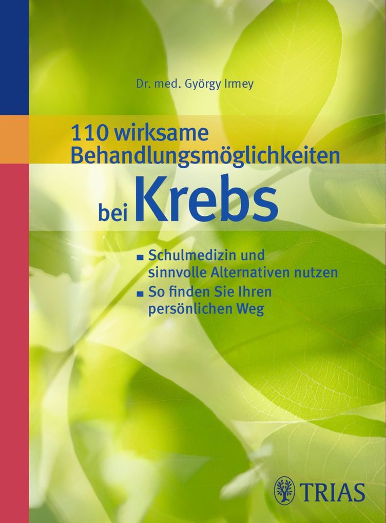 110 wirksame Behandlungsmöglichkeiten bei Krebs - György Irmey/ Anna-Luise Jordan/ Hans Stieber