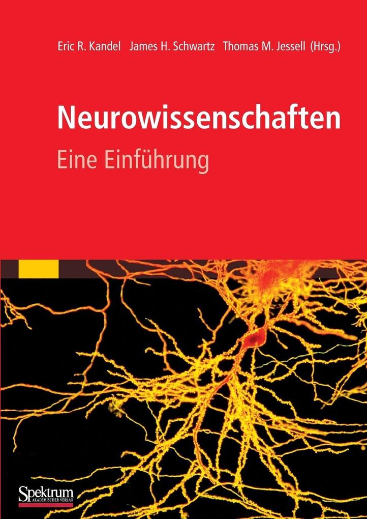 Spektrum Neurowissenschaften, Fachbücher Von Thomas Jessell, James Schwartz, Eric Kandel - Bild 5