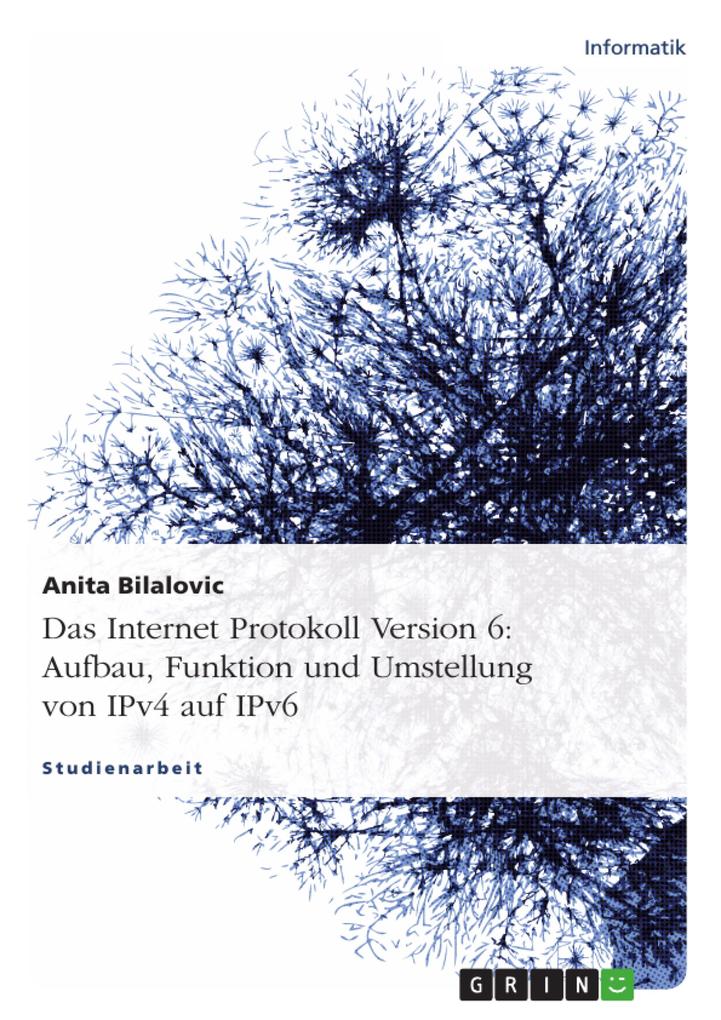IPv6 - Aufbau Funktion und Umstellung von IPv4 auf IPv6 - Anita Bilalovic