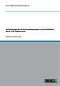 Gefährdungen durch Massenbewegungen in den Kordilleren Nord- und Südamerikas