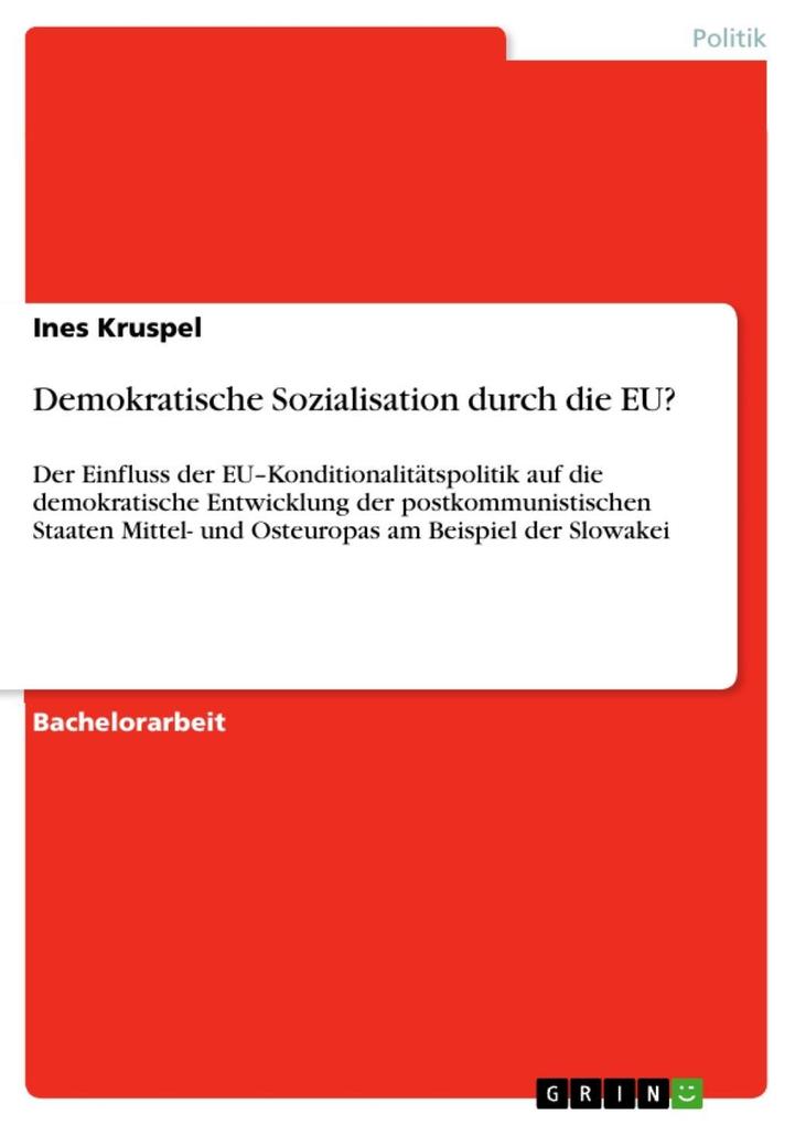 Demokratische Sozialisation durch die EU?