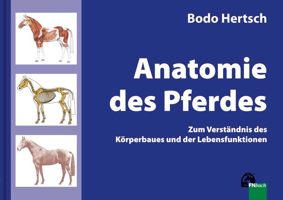 Anatomie des Pferdes: Zum Verständnis des Körperbaues und der Lebensfunktionen - Bild 5