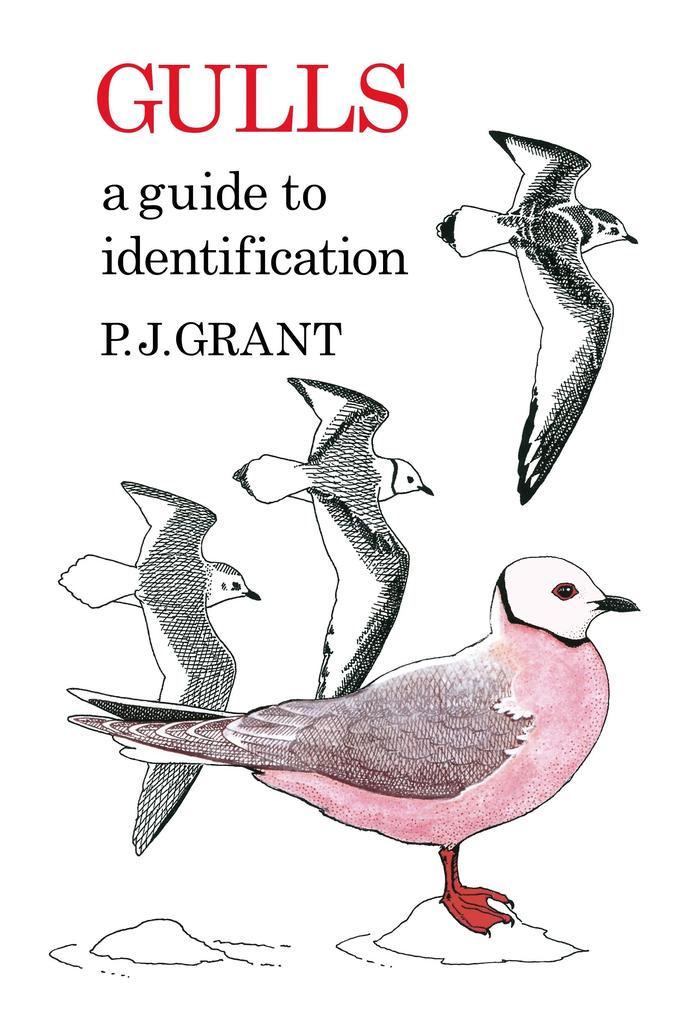 Gulls: A Guide to Identification. 2nd Edition - P. J Grant